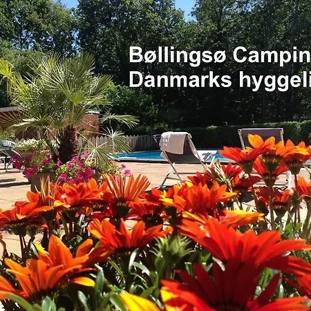 Bollingso * Engesvang