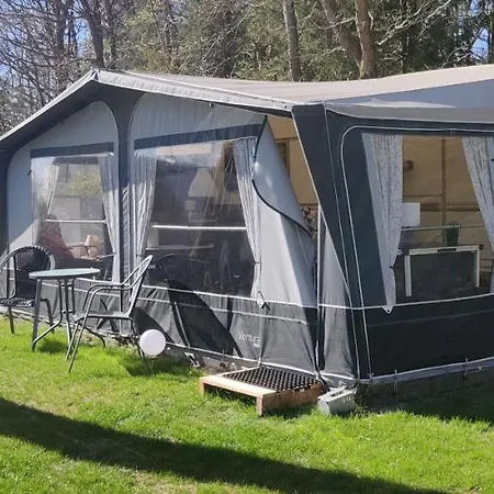 Bollingso * Engesvang